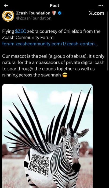Zcash Foundation post: our mascot is the zeal, a flying ZEC zebra soaring through the clouds